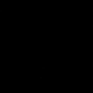 Meet your Posher, Jerry